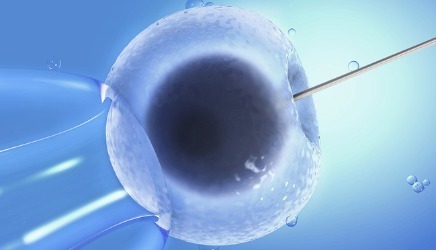 助孕儿子包成功